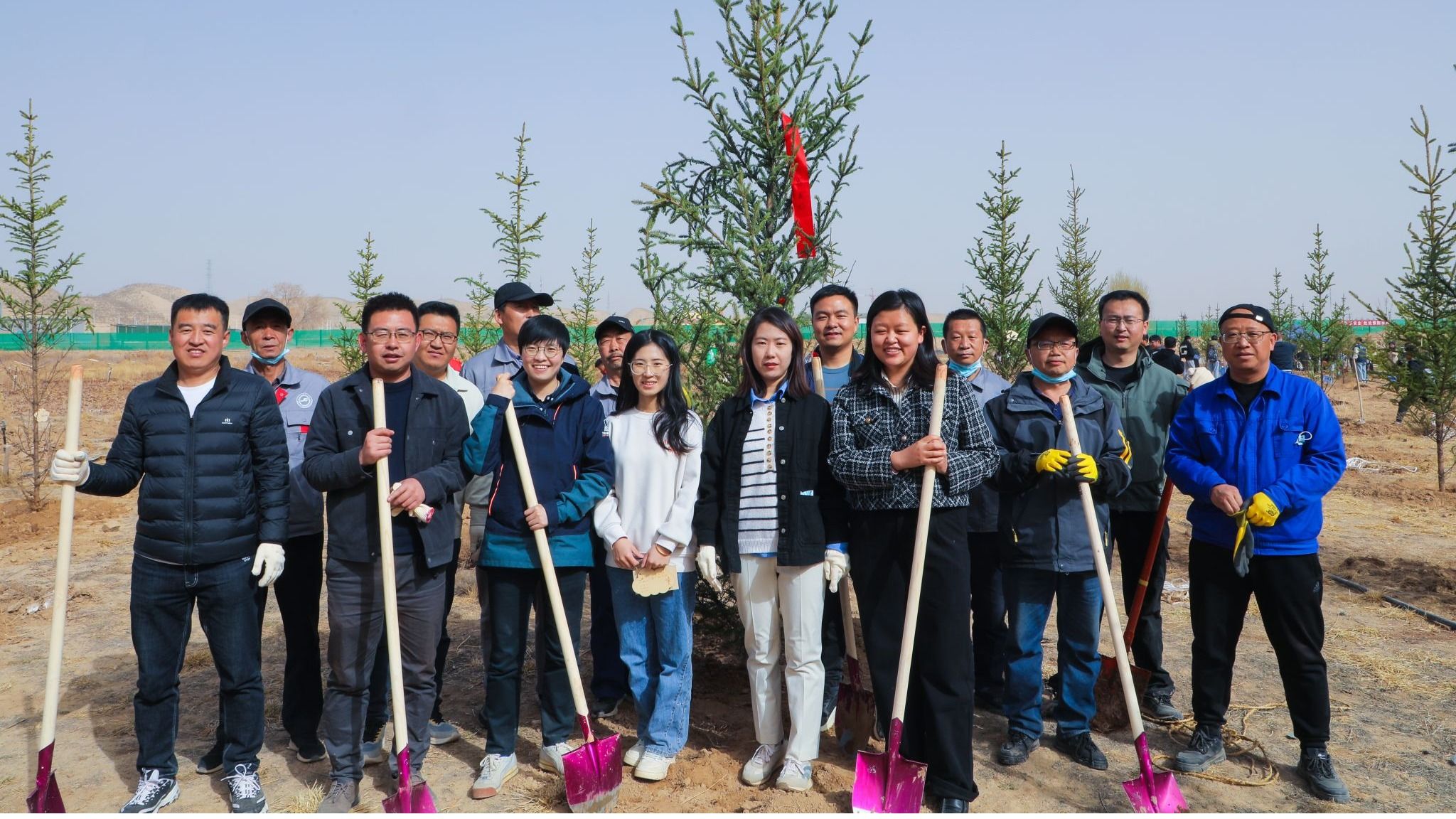 “植”此春光，“绿”动校园，beat365英国官方网站师生携手共筑“师生林”