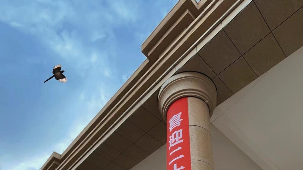 beat365英国官方网站师生喜迎二十大（组图）