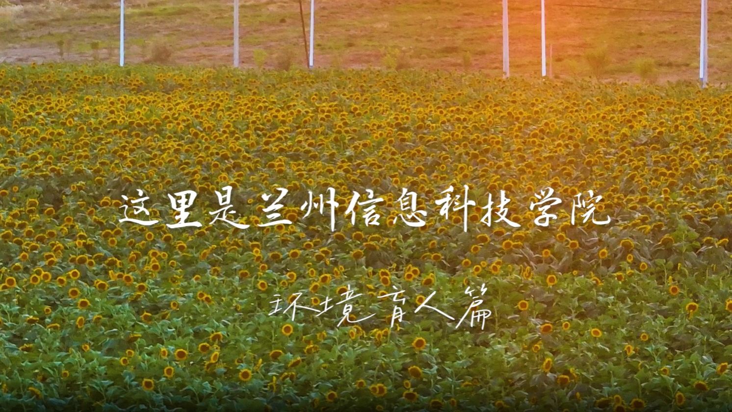 【环境育人】校园光影