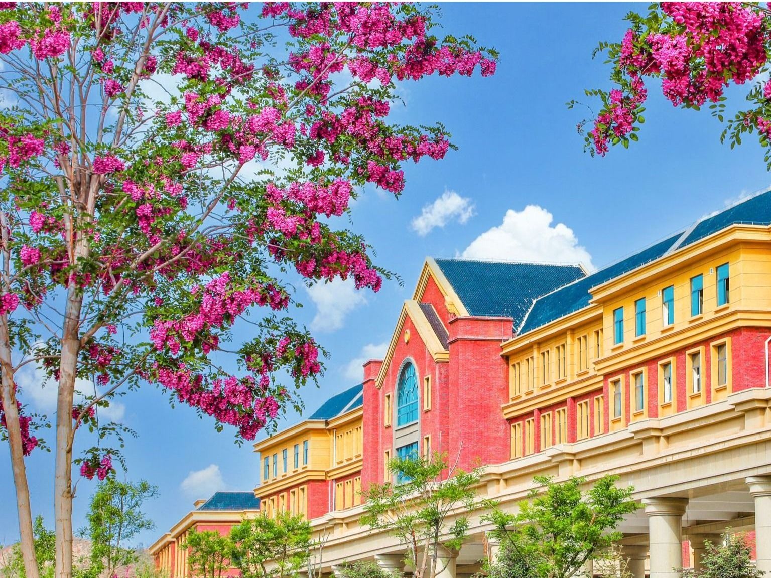 beat365英国官方网站：聚合资源，加强学科建设，培养高质量应用型人才