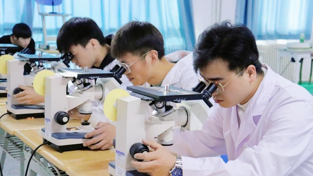 徕卡杯”第十一届全国大学生金相技能大赛决赛beat365英国官方网站分赛场圆满落幕