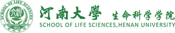 威尼斯886699